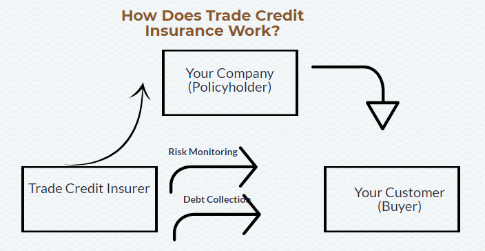 How does Trade Credit Insurance work?